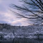 Basaltpark im Winter