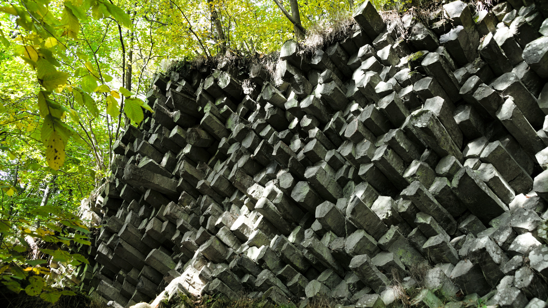 Basaltprismenwand nahe Oberelsbach (Rhön)