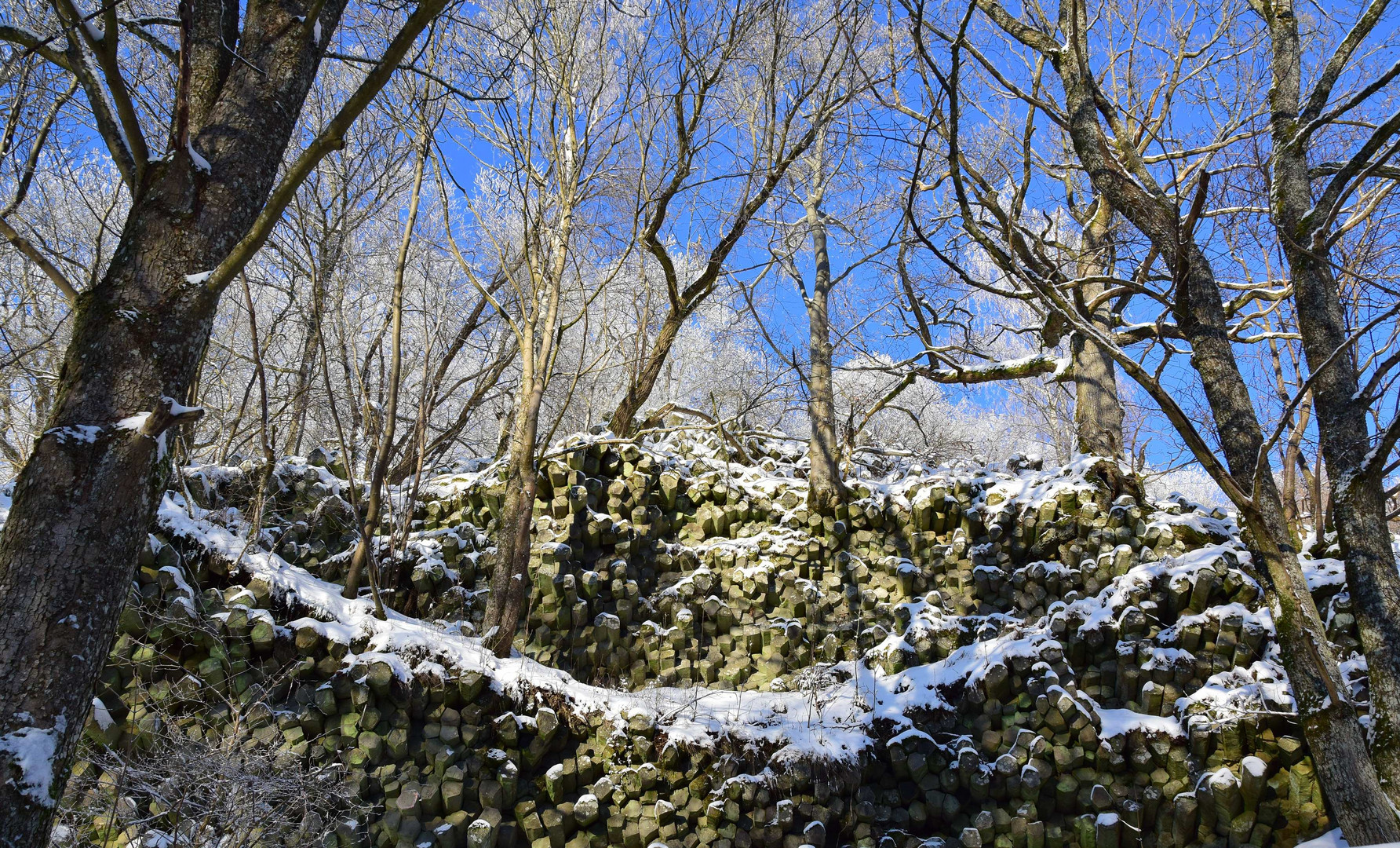 Basaltsäulen am Gangolfsberg in der Rhön