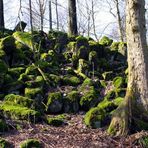 Basaltsäulen auf der Sachsenburg bei Oberalba Rhön