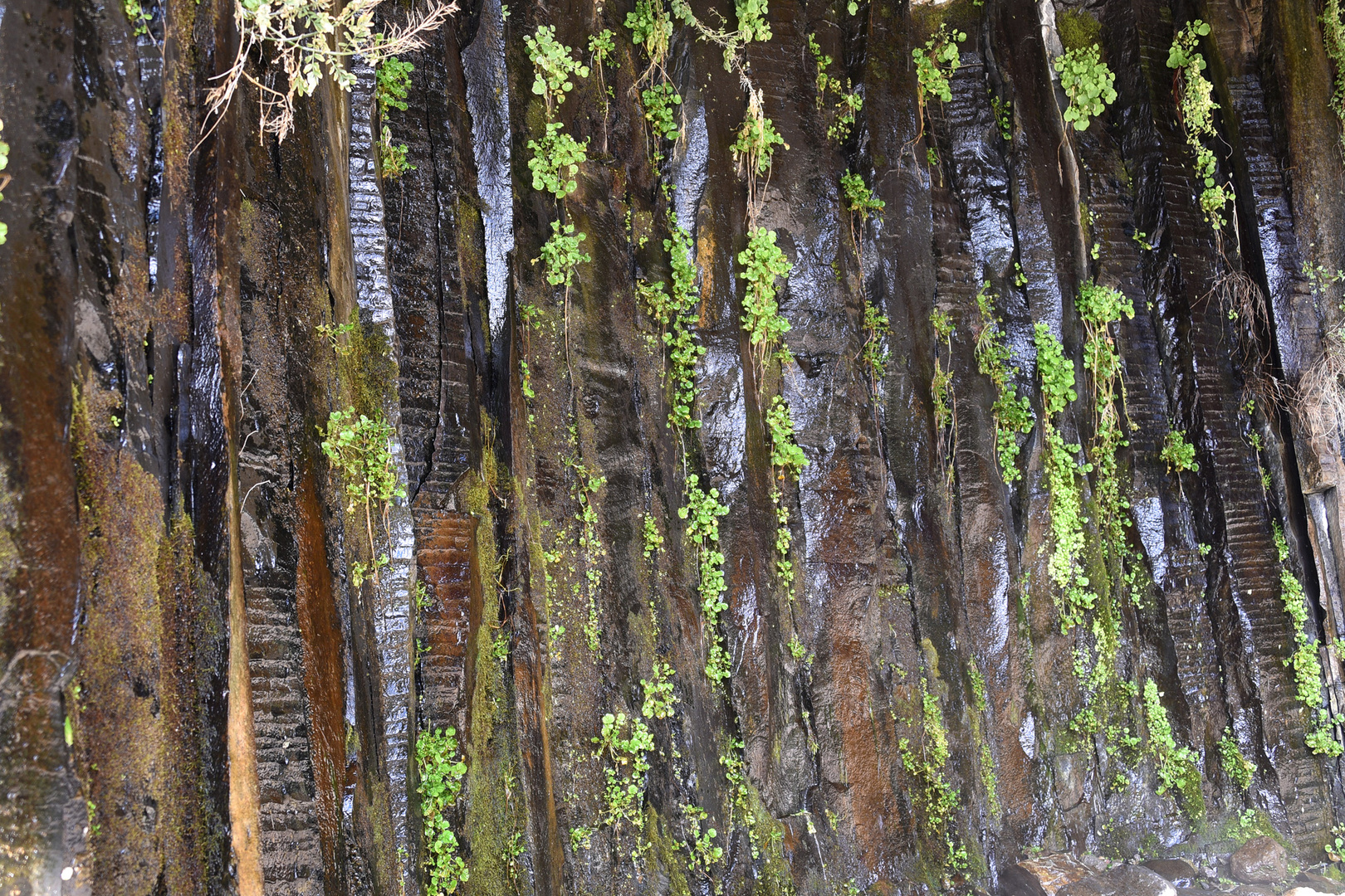 Basaltsäulen in der Azat - Schlucht