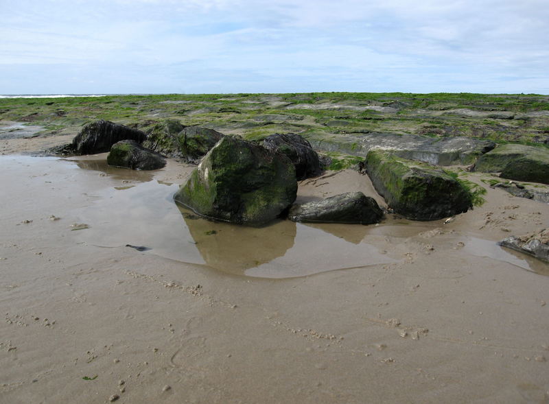 Basaltsteine zur Strandbefestigung