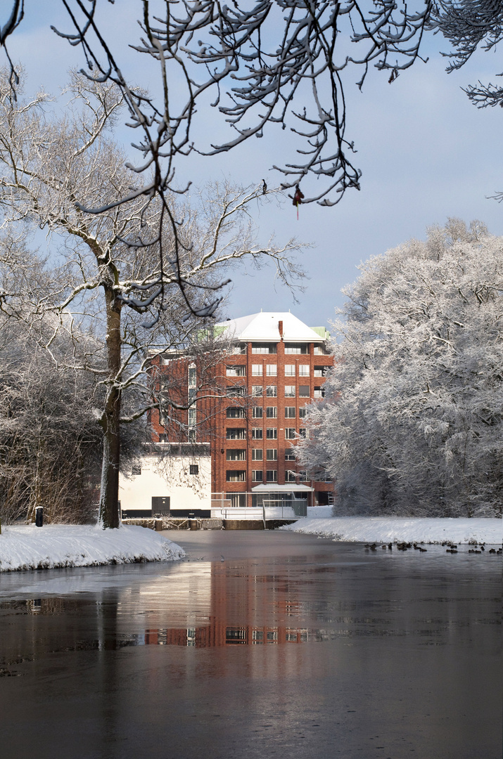 BAscule gespiegeld in ijswater