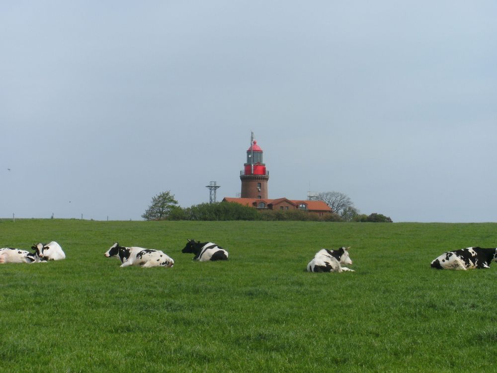 Basdorf (Kühlungsborn)