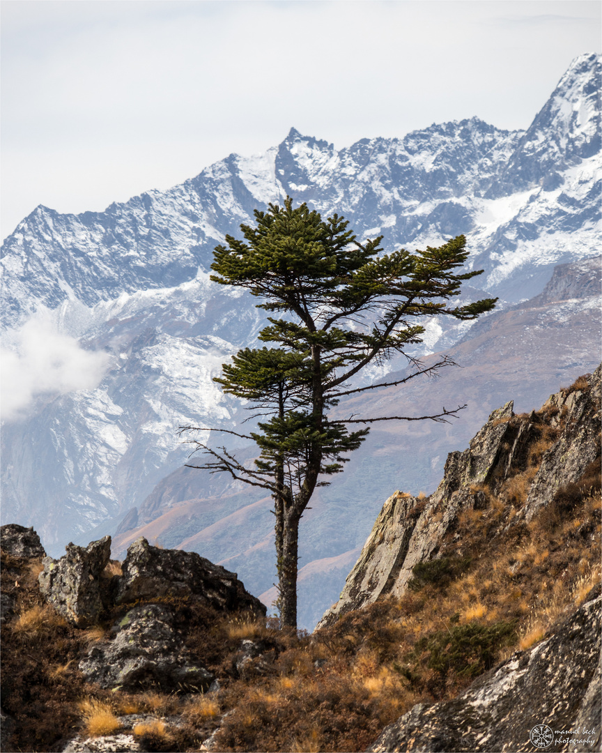 base camp trek