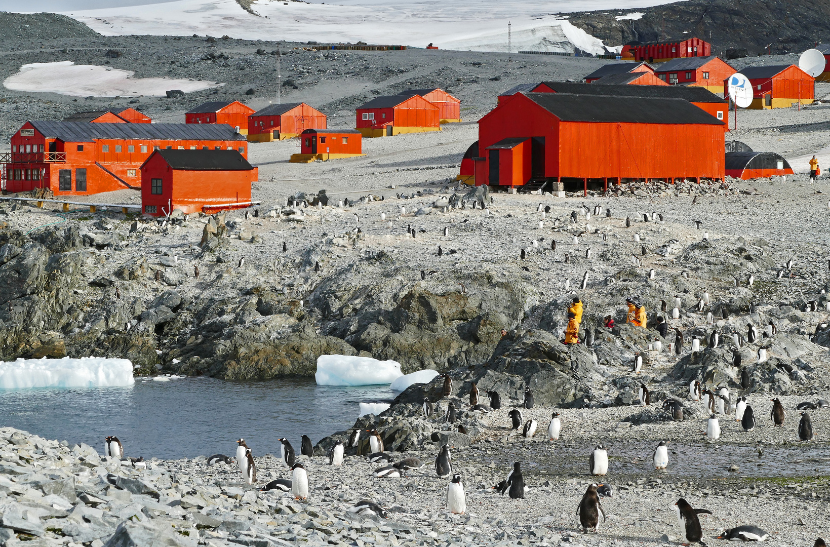 Base Esperanza mit der Mehrzahl seiner Bewohner Foto & Bild fotos