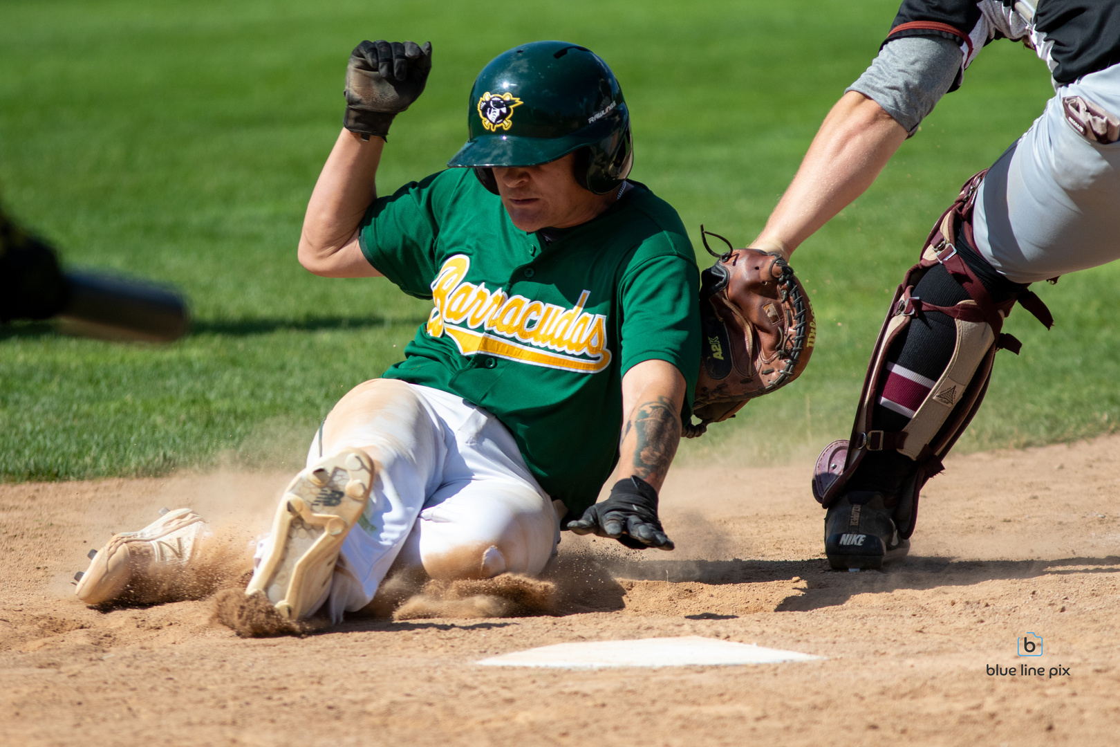 Baseball Barracudas Zürich