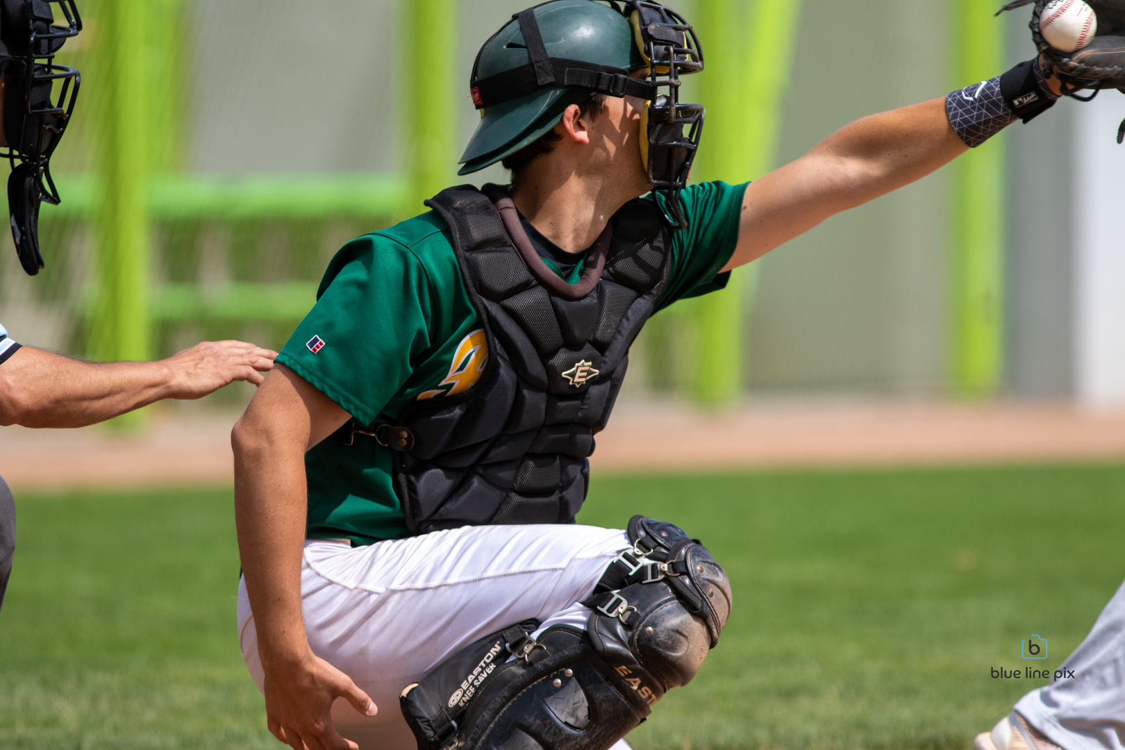 Baseball Barracudas Zürich