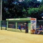 Baseball en la Republica Dominica en el fin de la semana