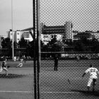 baseball in kranichstein