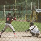 baseball in paderborn