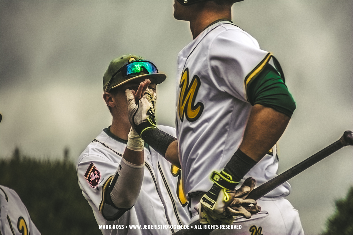 baseball in paderborn