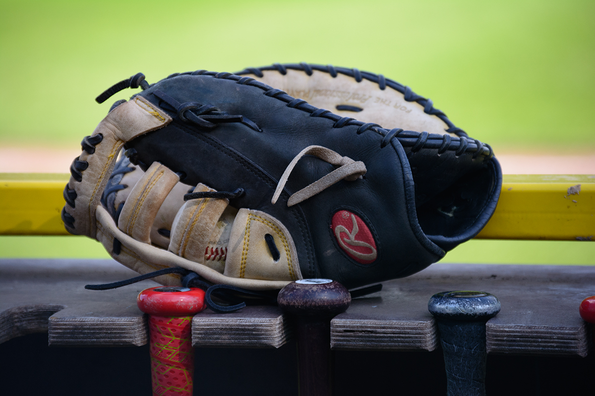 baseball in paderborn