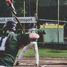 baseball in paderborn