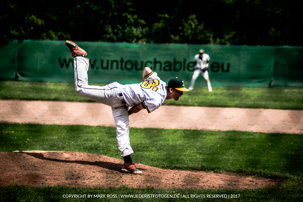 baseball in paderborn