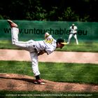 baseball in paderborn