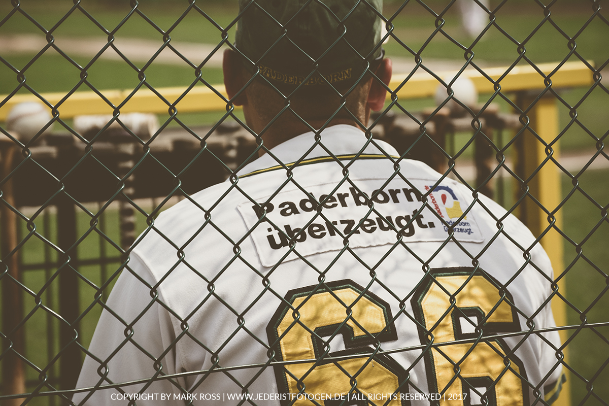 baseball in paderborn