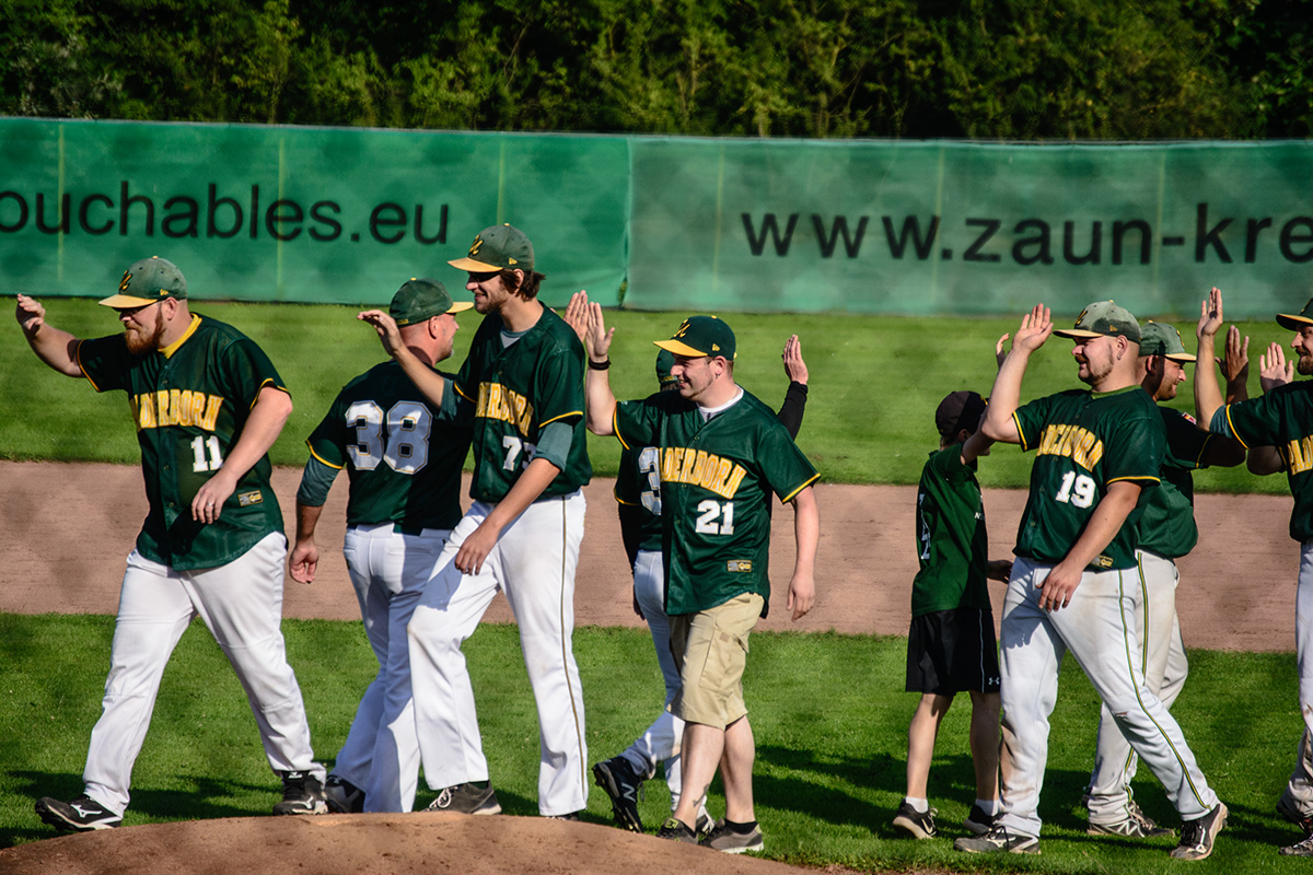 baseball in paderborn