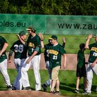 baseball in paderborn