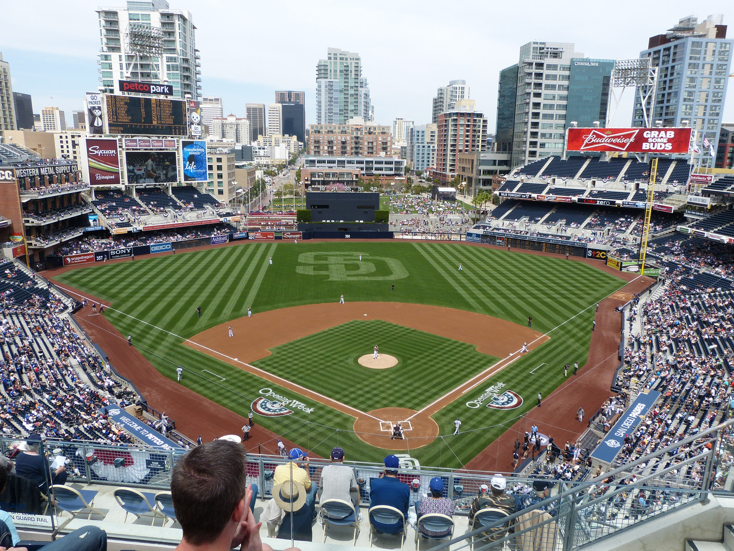 Baseball in San Diego