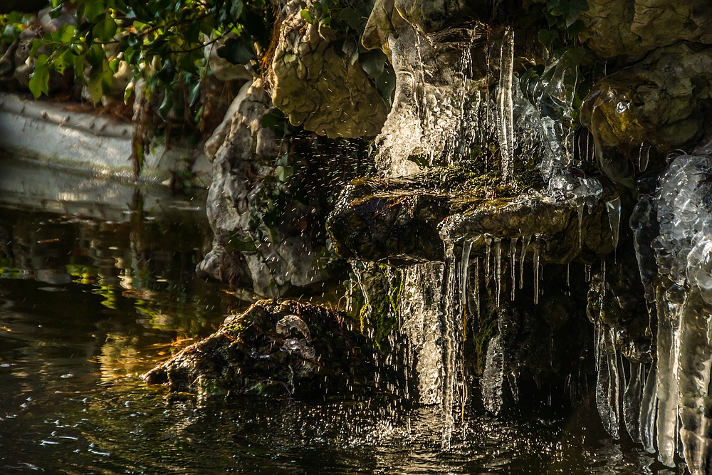 Basel, Botanischer Garten 09