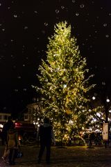 Basel: Christbaum mit Seifenblasen