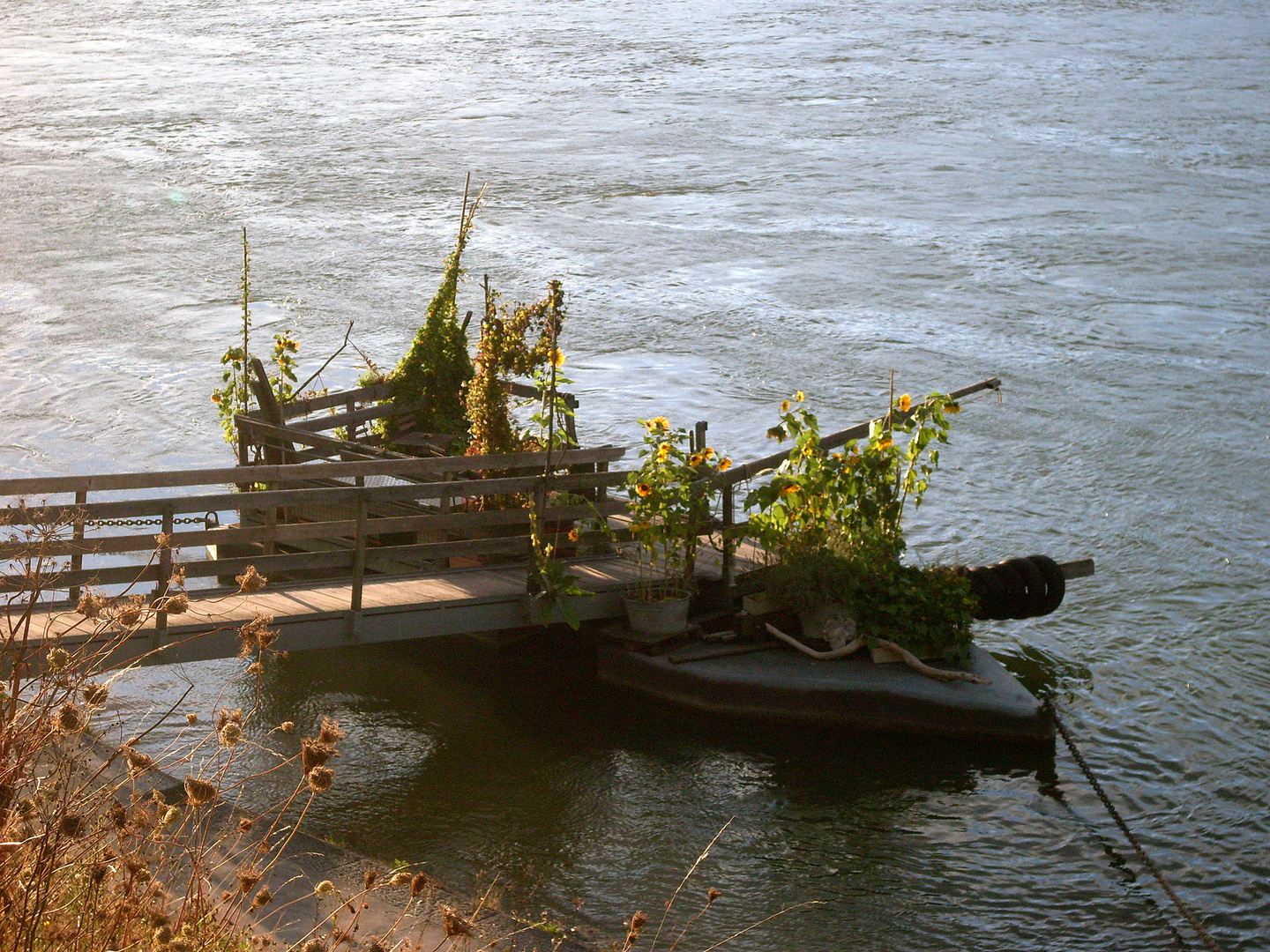 Basel- Der Rhein