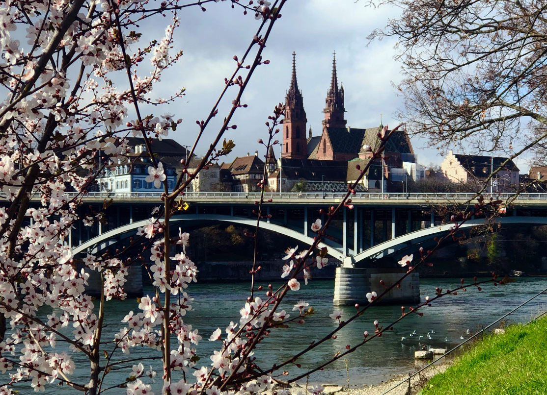 Basel-im-Frühling