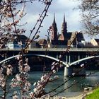 Basel-im-Frühling