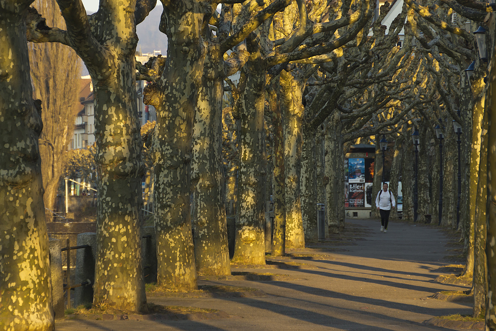 Basel im Frühlingslicht