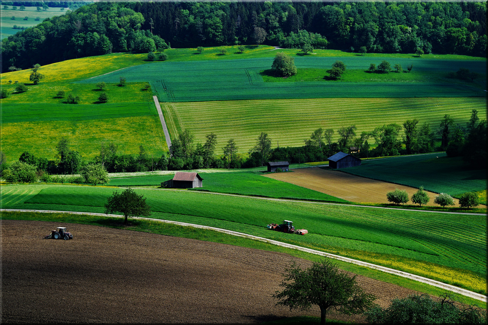 Basel Landschaft (Schweiz)