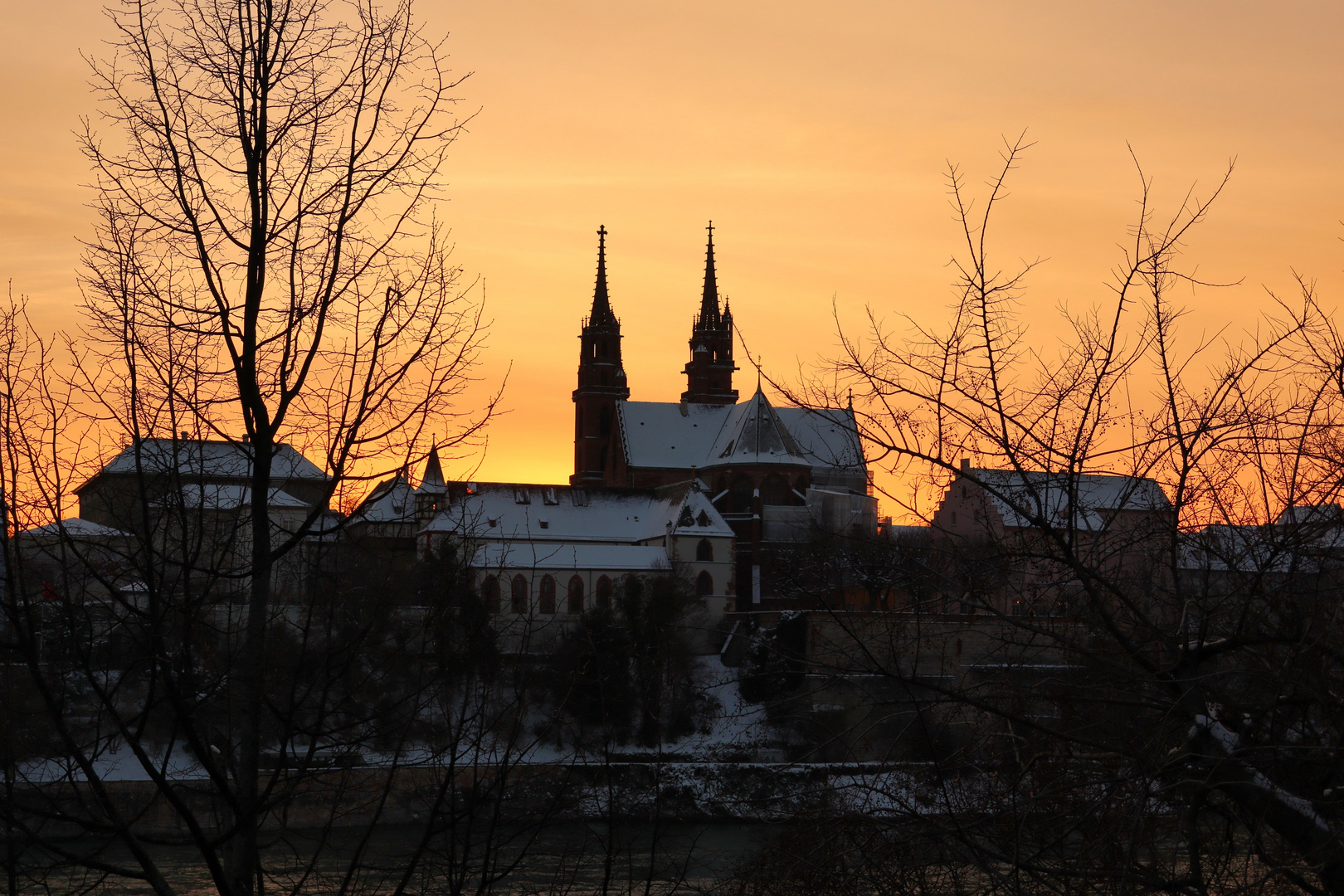 Basel Münster 