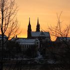 Basel Münster 