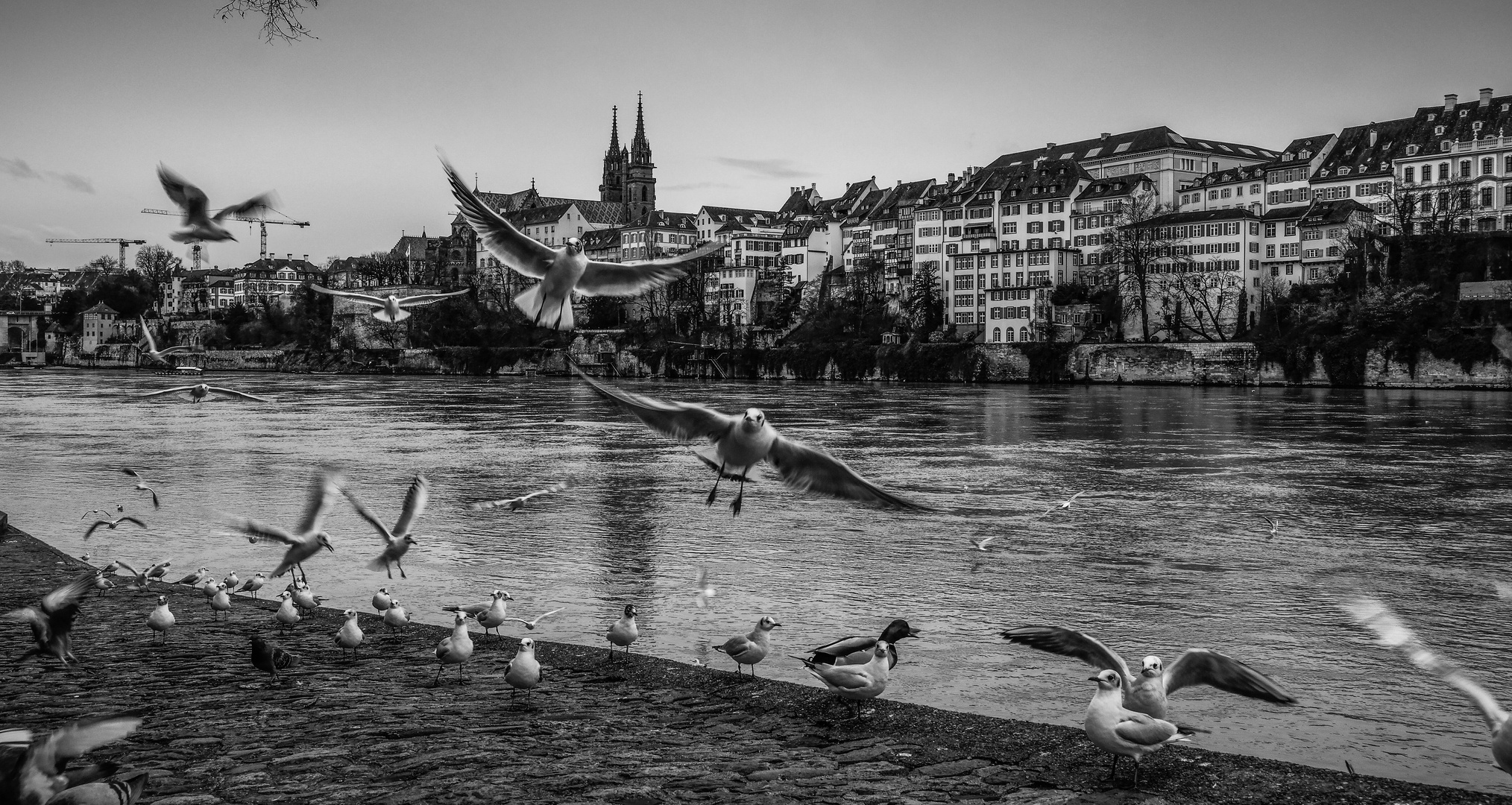 Basel Rhein und Münster