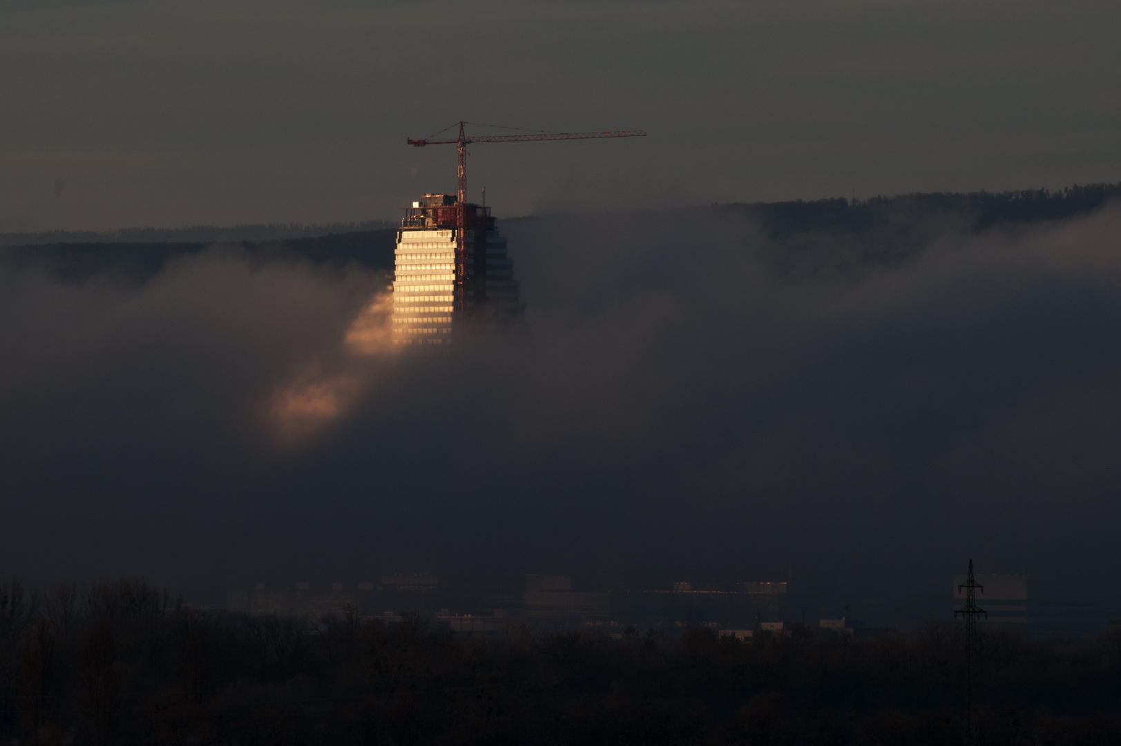 Basel Roche Bau 1