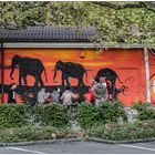 [basel - urban jungle]