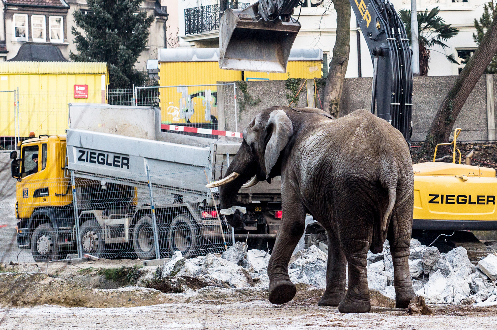 Basel_ist_eine_Baustelle #01