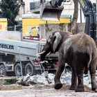 Basel_ist_eine_Baustelle #01