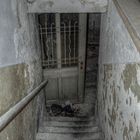 basement stairs ...