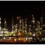 BASF Anlage 2.1