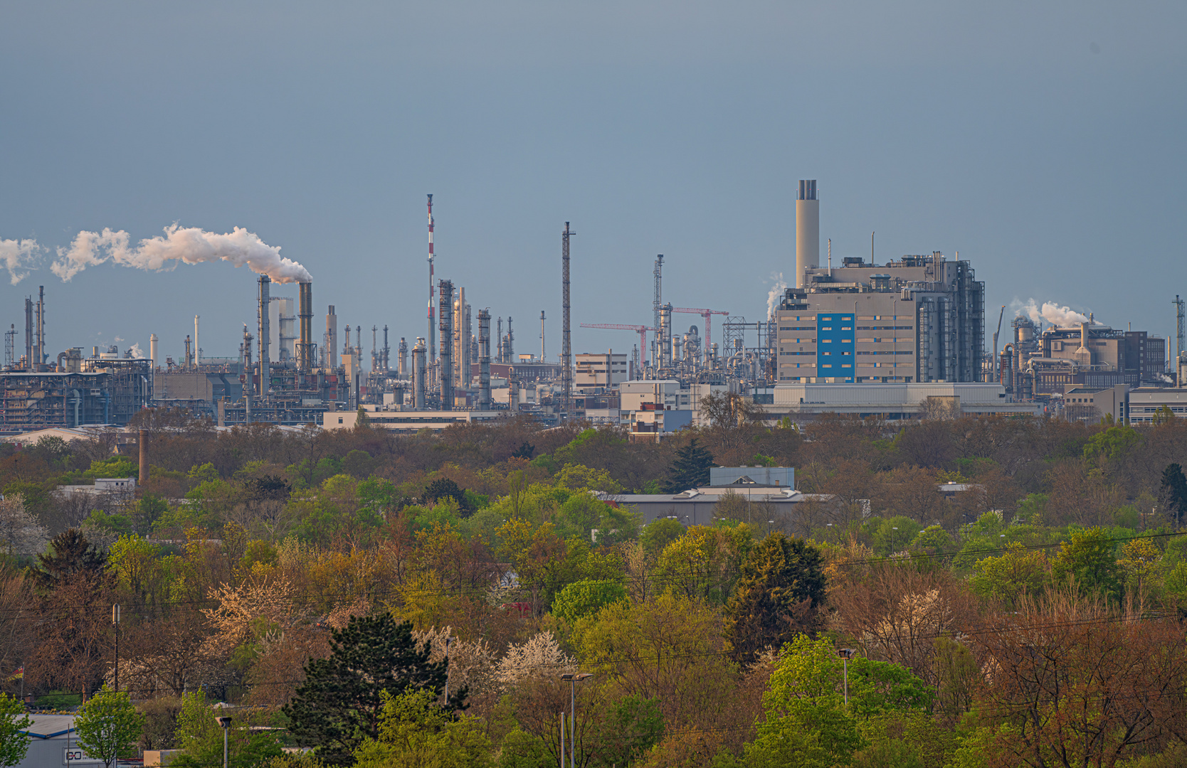 BASF mal aus einer anderen Perspektive