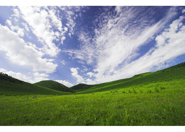 Bashang Grassland