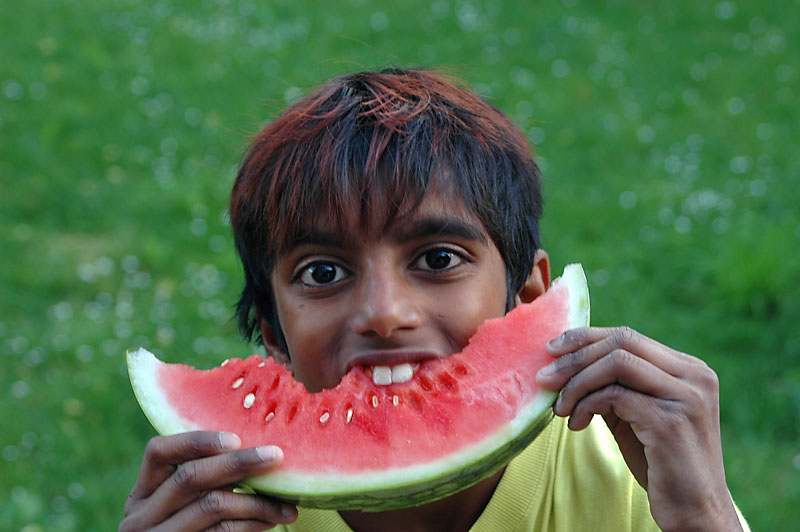 Basil mit Melone