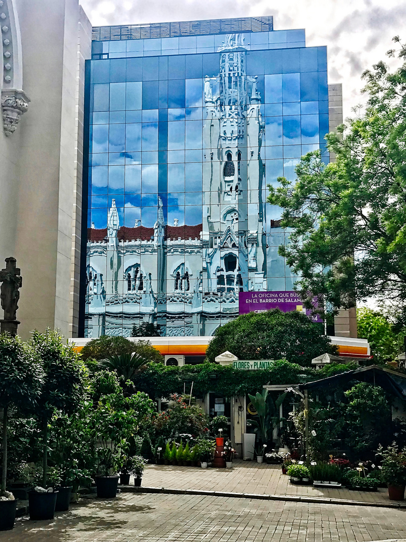 Basilica de la Concepción (reflejo)