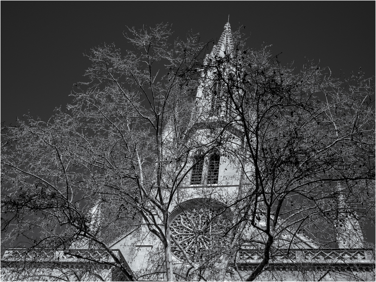 Basílica de Sant Francesc, sw