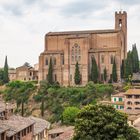  Basilica di San Domenico Siena