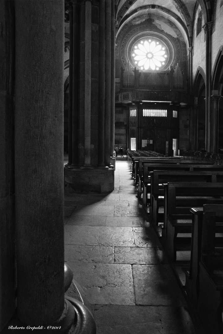 Basilica di Sant'Andrea (Vercelli), luce