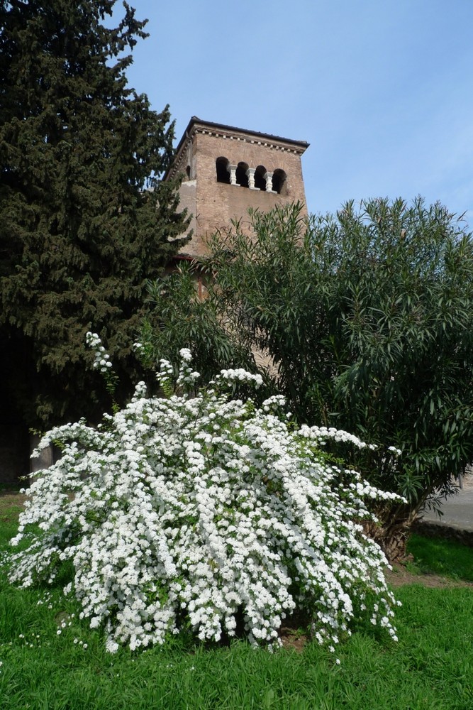 BASILICA-I QUATTRO CORONATI