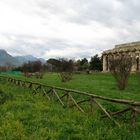 Basilica in Paestum