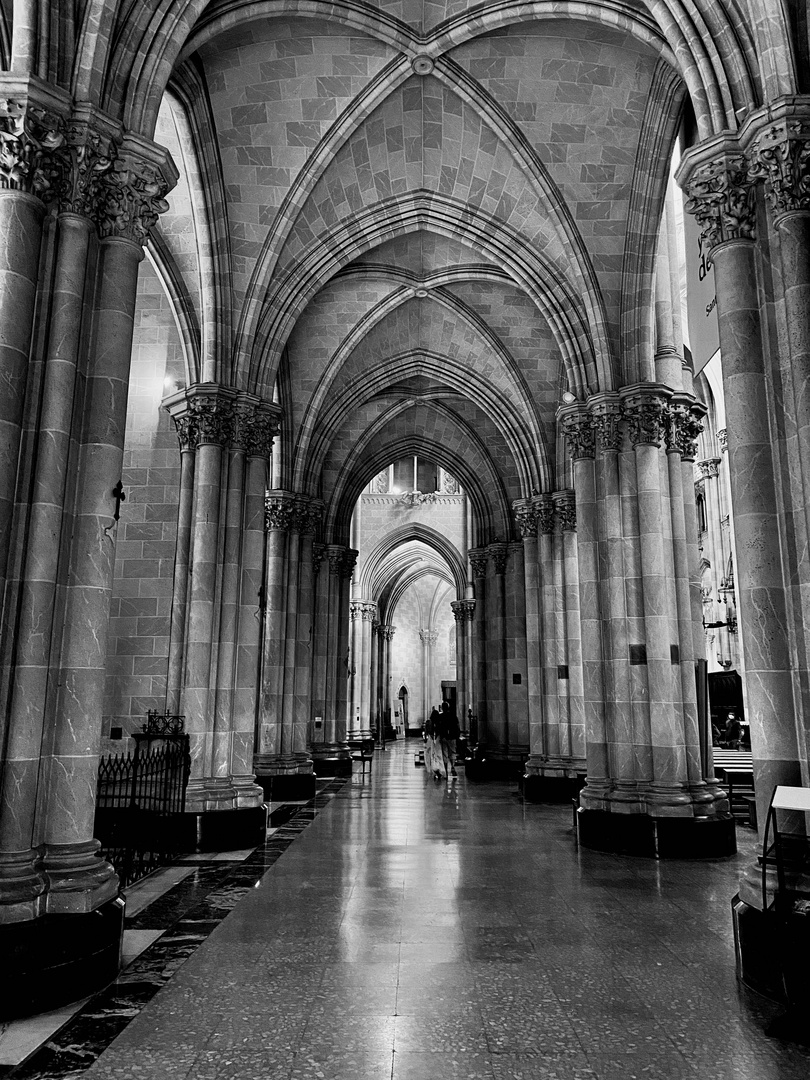 Basílica SAN Vicente Ferrer 